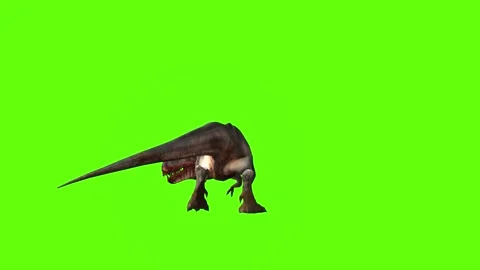 T-rex momma dinosaur turn 180 left look right green screen animation 3 Video stock 281143668