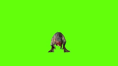 T-rex momma dinosaur turn 180 right  green screen animation 3D rendering Stock Footage 281143721