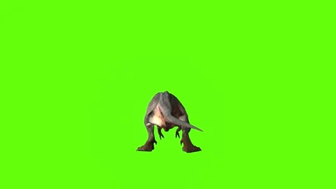 T-rex momma dinosaur turn 180 right  green screen animation 3D rendering Stock Footage 281143777