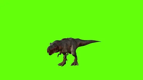 T-rex momma dinosaur walk back  green screen animation 3D rendering Stock Footage 281143751