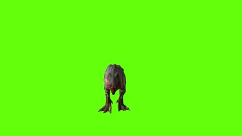 T-rex momma dinosaur walk back green screen animation 3D rendering Stock Footage 281143765