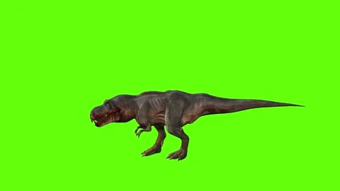 T-rex momma dinosaur walk back  green screen animation 3D rendering Stock Footage 281143800