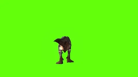 T-rex momma dinosaur walk back  green screen animation 3D rendering Stock Footage 281143809
