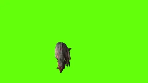T-rex momma dinosaur walk bite green screen animation 3D rendering Stock Footage 281143834