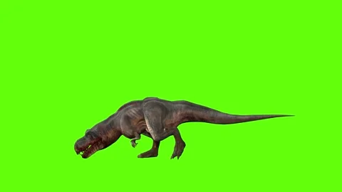 T-rex momma dinosaur walk bite green screen animation 3D rendering Stock Footage 281143872