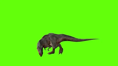 T-rex momma dinosaur walk bite left green screen animation 3D rendering Stock Footage 281143902