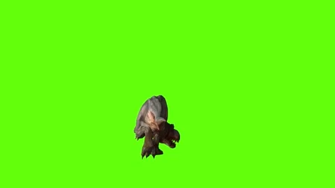 T-rex momma dinosaur walk bite right  green screen animation 3D rendering Stock Footage 281144007