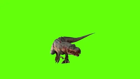 T-rex momma dinosaur walk turn 135 left green screen animation 3D render Stock Footage 281396859