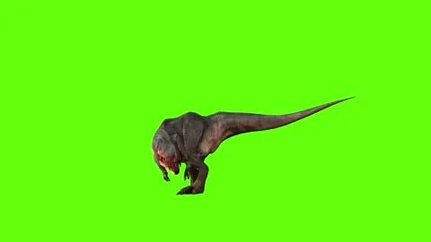 T-rex momma dinosaur walk turn 135 left green screen animation 3D render Stock Footage 281396862