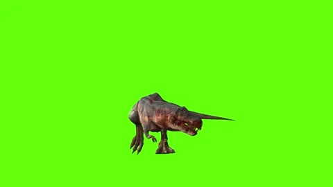T-rex momma dinosaur walk turn 180 left green screen animation 3D render Stock Footage 281396893