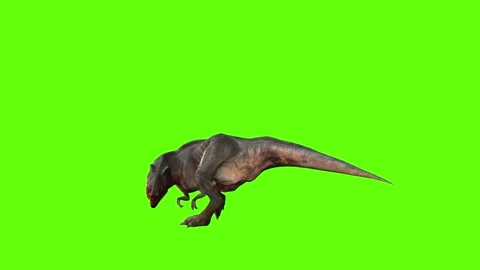 T-rex momma dinosaur walk turn 180 left green screen animation 3D render Stock Footage 281396897