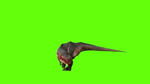 T-rex momma dinosaur walk turn 180 left green screen animation 3D render Stock Footage 281396898