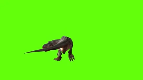 T-rex momma dinosaur walk turn 180 left green screen animation 3D render Stock Footage 281396920