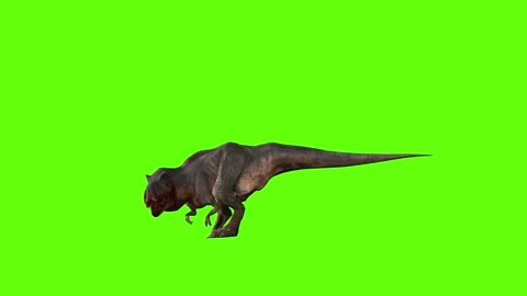 T-rex momma dinosaur walk turn 90 left green screen animation 3D renderi Stock Footage 281396936