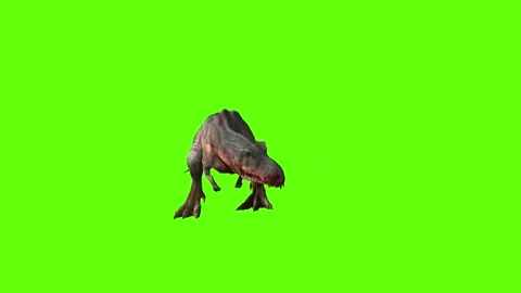 T-rex momma idle attack run left  green screen animation 3D rendering Stock Footage 281143792