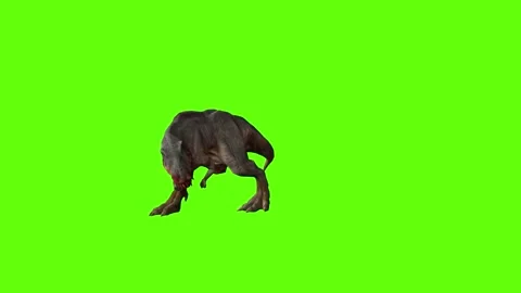 T-rex momma idle attack run left green screen animation 3D rendering Stock Footage 281143976