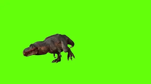 T-rex momma idle attack run right green screen animation 3D rendering Stock Footage 281144151