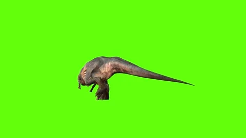 T-rex momma idle attack run right green screen animation 3D rendering Stock Footage 281144162