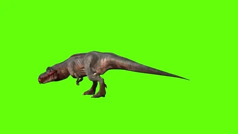 T-rex momma idle attack run left green screen animation 3D rendering Stock Footage 281144172