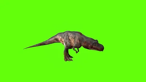 T-rex momma idle attack run left green screen animation 3D rendering Stock Footage 281144194