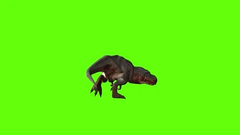 T-rex momma idle attack run right green screen animation 3D rendering Stock Footage 281144206