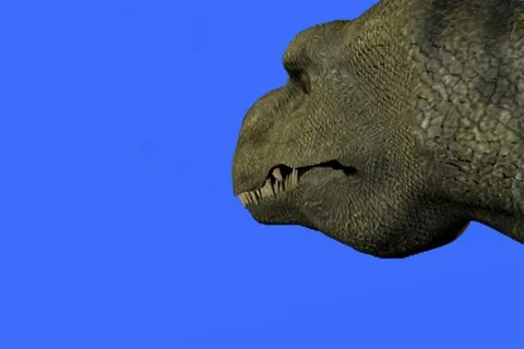 T-Rex  moves into shot looking downward at prey.mp4 Stock Footage 11516107