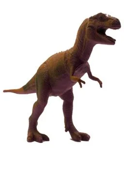T Rex Stock Photos