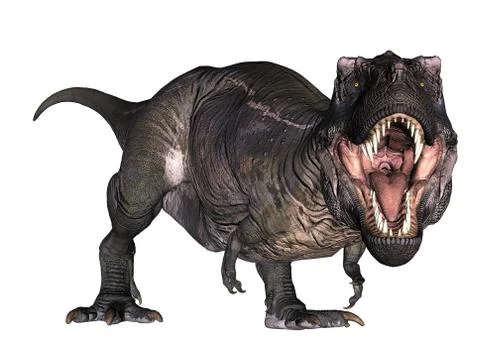 T-Rex roaring down on its feet - 3D render Stock Illustration