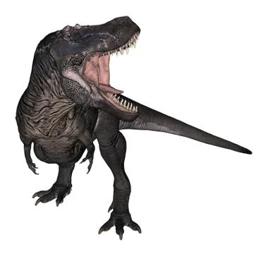 T-Rex roaring while standing up - 3D render Stock Illustration