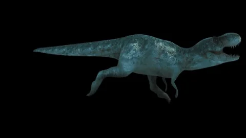 Animate Running Dinosaur Tyrannosaurus Rex Render Dark Background Stock  Video Footage by ©DenisSmile #199540226