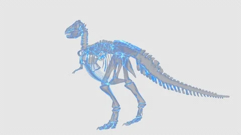 T-Rex Skeleton Hologram Stock Footage 195946095