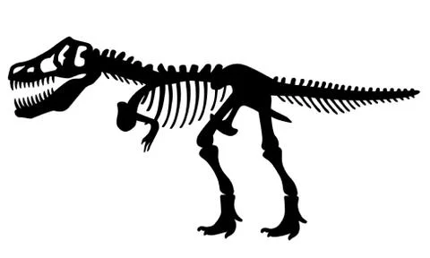 T Rex Skeleton Stock Illustration