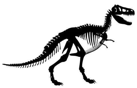 T rex skeleton Stock Illustration