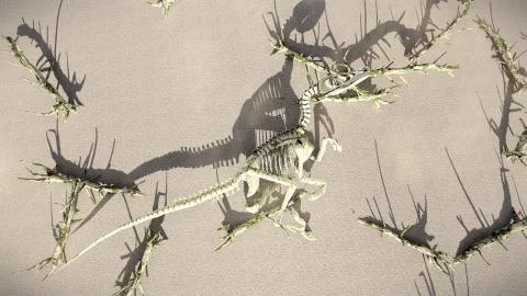 T-Rex-Skeleton lying on the beech 3d rendering Stock Illustration