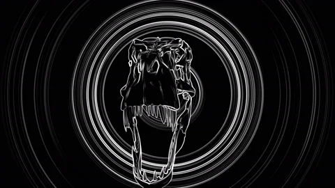 T-Rex Skull Loop 02 動画素材 131387049