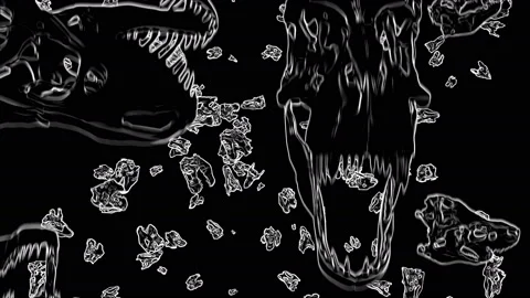 T-Rex Skull Loop 06 動画素材 131385222