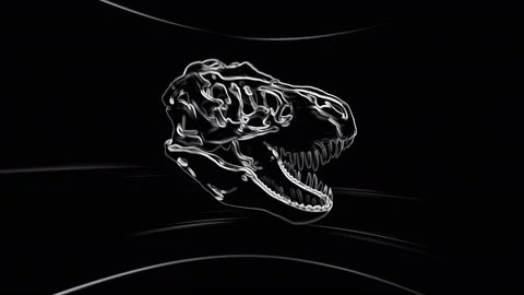 T-Rex Skull Loop 07 Vídeos de archivo 131382552