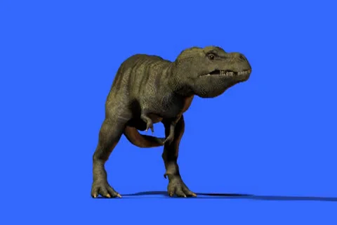 T-Rex Suspicion Video stock 24700653