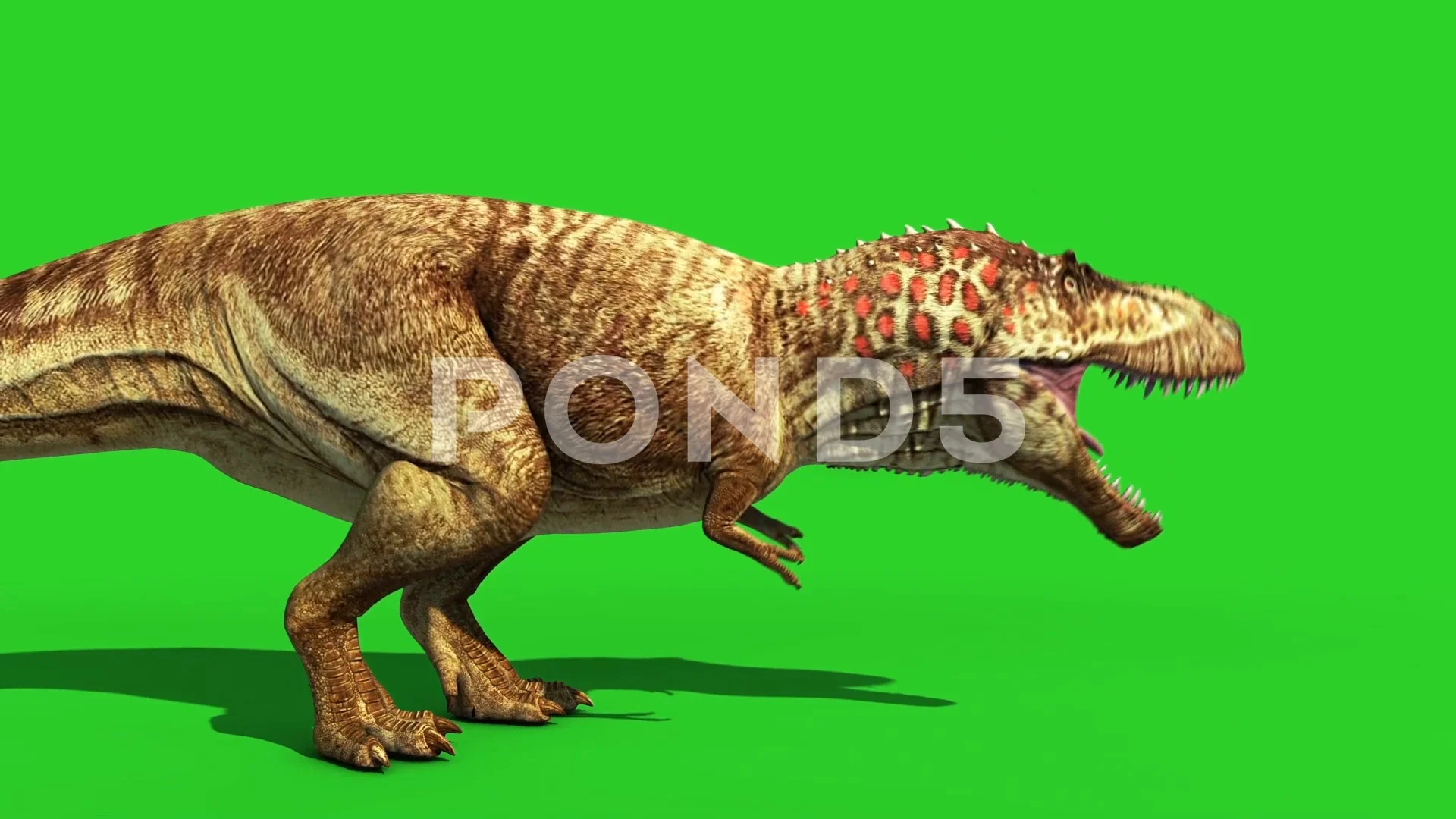 ROAR DINOSAUR T-REX - (Sound Effect) 🦖🦕 