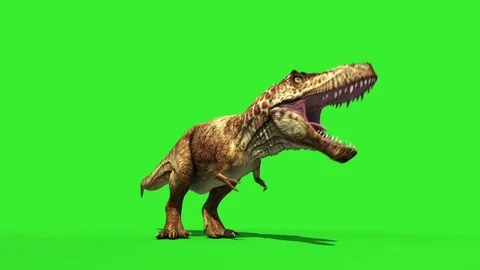 T Rex Tyrannosaur Feathered Roar Down Loop Jurassic World Dinosaurs Green Screen Stock Footage
