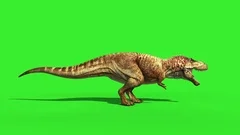 Oviraptor Dinosaurs Run Cycle Green Scre, Stock Video