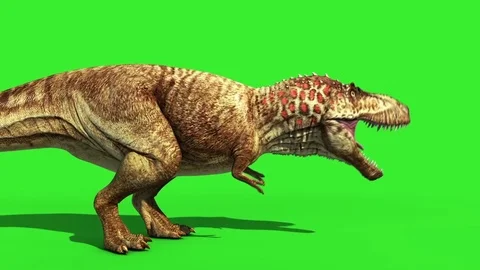 Angry T-Rex dinosaur runs in a looping s, Stock Video