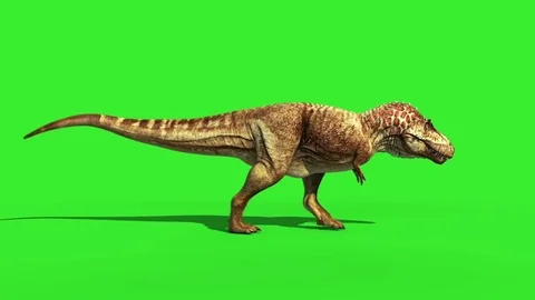 Angry T-Rex dinosaur runs in a looping s, Stock Video