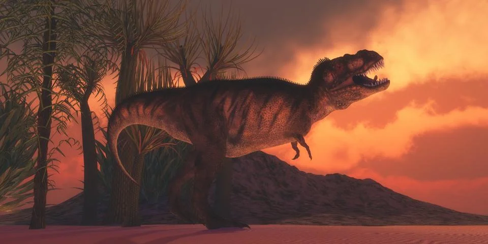 T-Rex Tyrant Stock Illustration