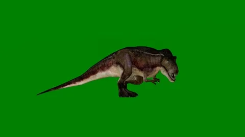 A t - rex walking on green screen and di... | Stock Video | Pond5