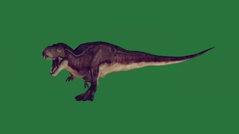 A t - rex walking on green screen and dinosaur with its mouth open is flying Stock-Footage 335147781