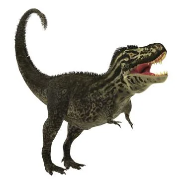 T-rex on white Stock Illustration