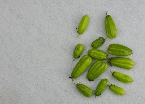 Ta-ling Pling on the floor. Stock Photos