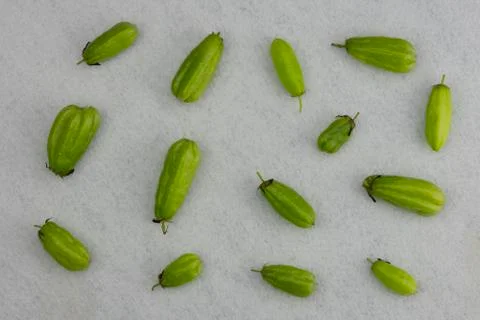 Ta-ling Pling on the floor. Stock Photos