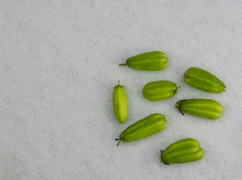 Ta-ling Pling on the floor. Stock Photos